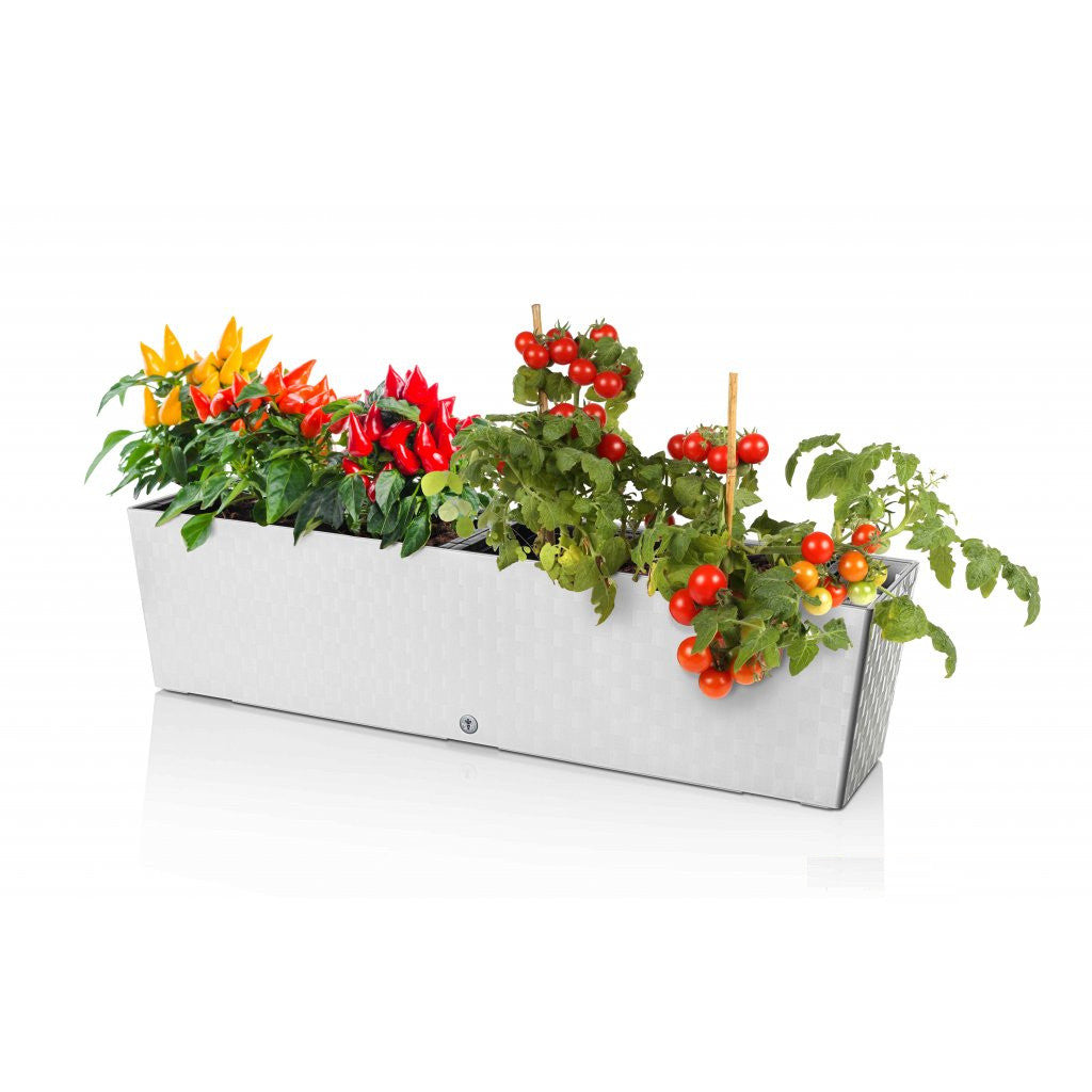 Plastkon bac à fleurs à arrosage automatique Supreme Anthracite, 74,6x19,3x19 cm vue détaillée
