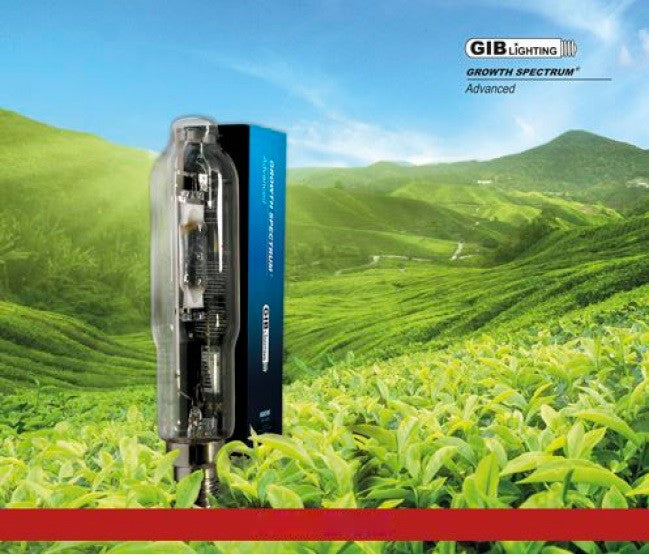 Výbojka GIB Lighting Growth Spectrum Advanced 1000W MH pohled zepředu