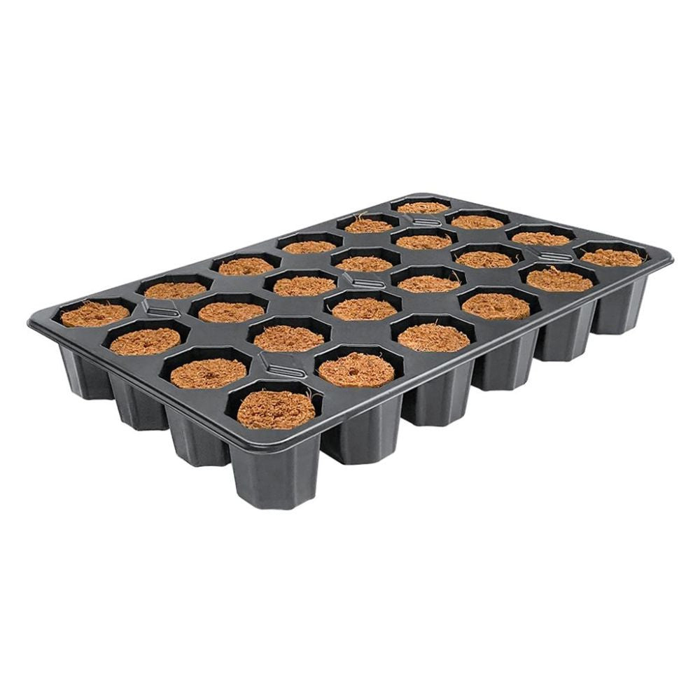Root!t Dry Peat Free 24 Cell Filled Tray se sadbovačem, 29.5x19x4 cm pohled zepředu