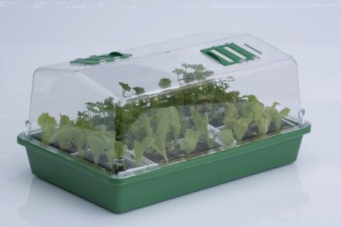 HGA Garden Propagator 43, skleník, tvrdý plast, nevyhřívaný, 38x24x18 cm pohled zezadu