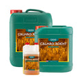 Canna Calmag Agent 10 l widok z przodu