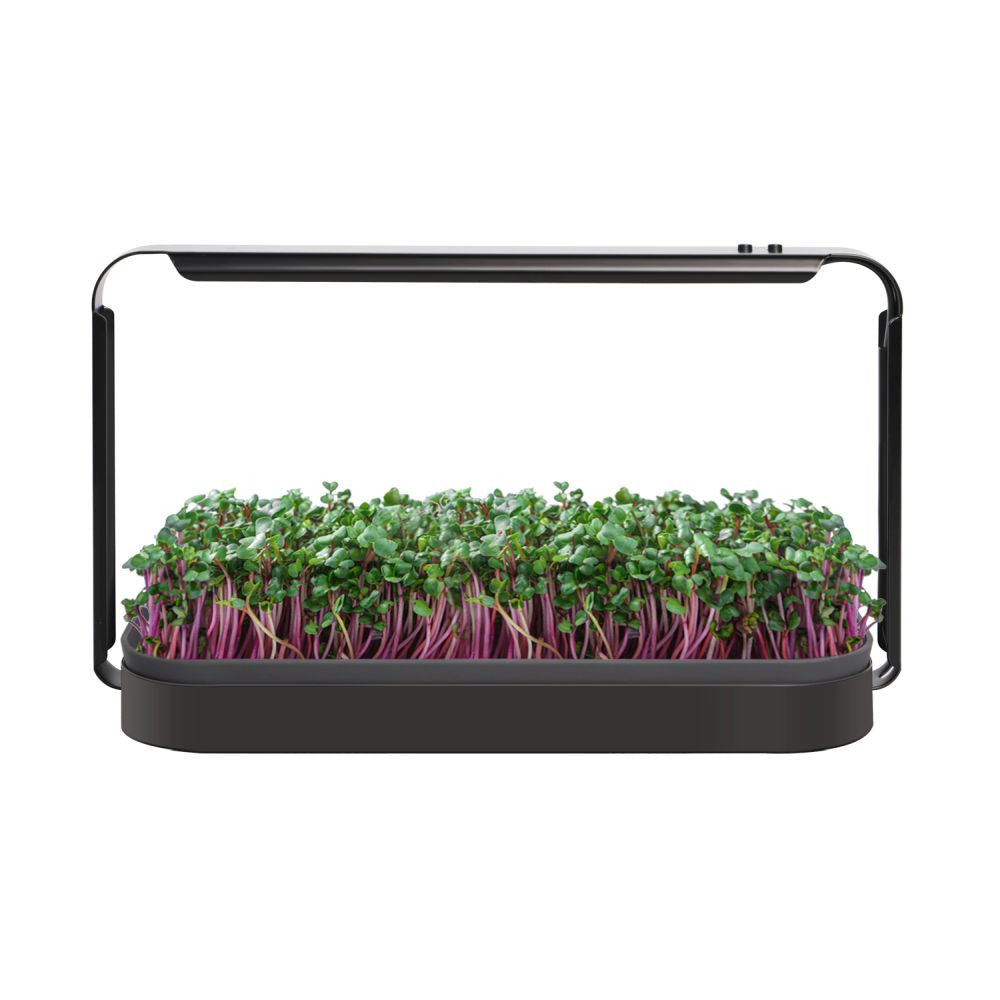 Urban LED 16W Mini grow kit pour microgreens 6400K vue latérale