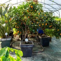 Terra Aquatica Cultimate S Waterfarm - 30x30x37 cm BOX boční pohled