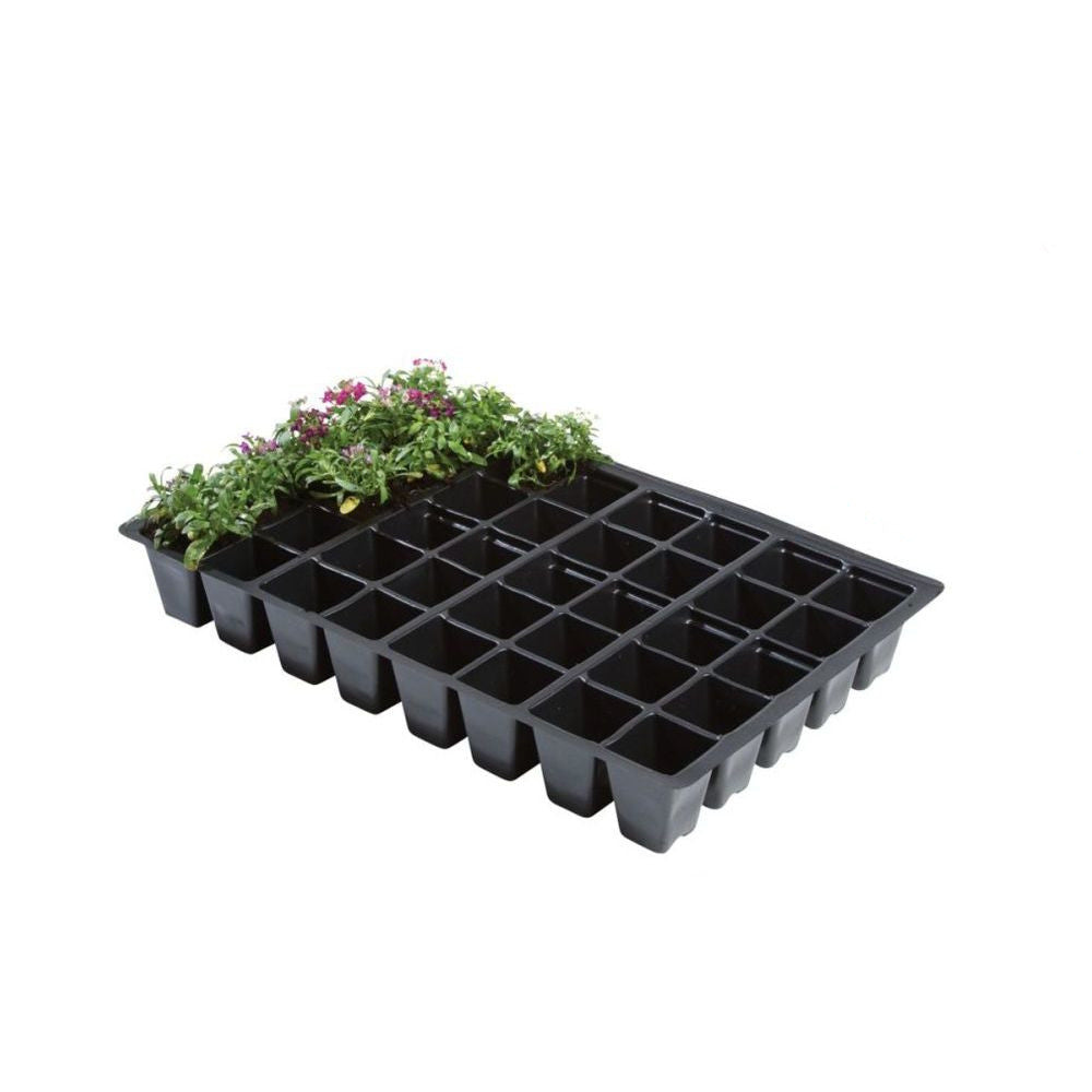 Garland seedling tray 40, 35.5x23x5 cm, 5 pcs front view