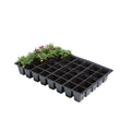 Garland seedling tray 40, 35.5x23x5 cm, 5 pcs front view