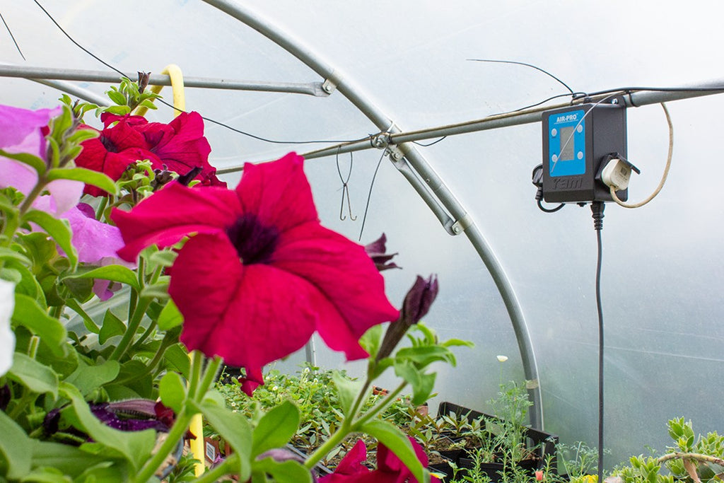 RAM AIR-PRO II, regolatore di giri 2x 7A vista dettagliata