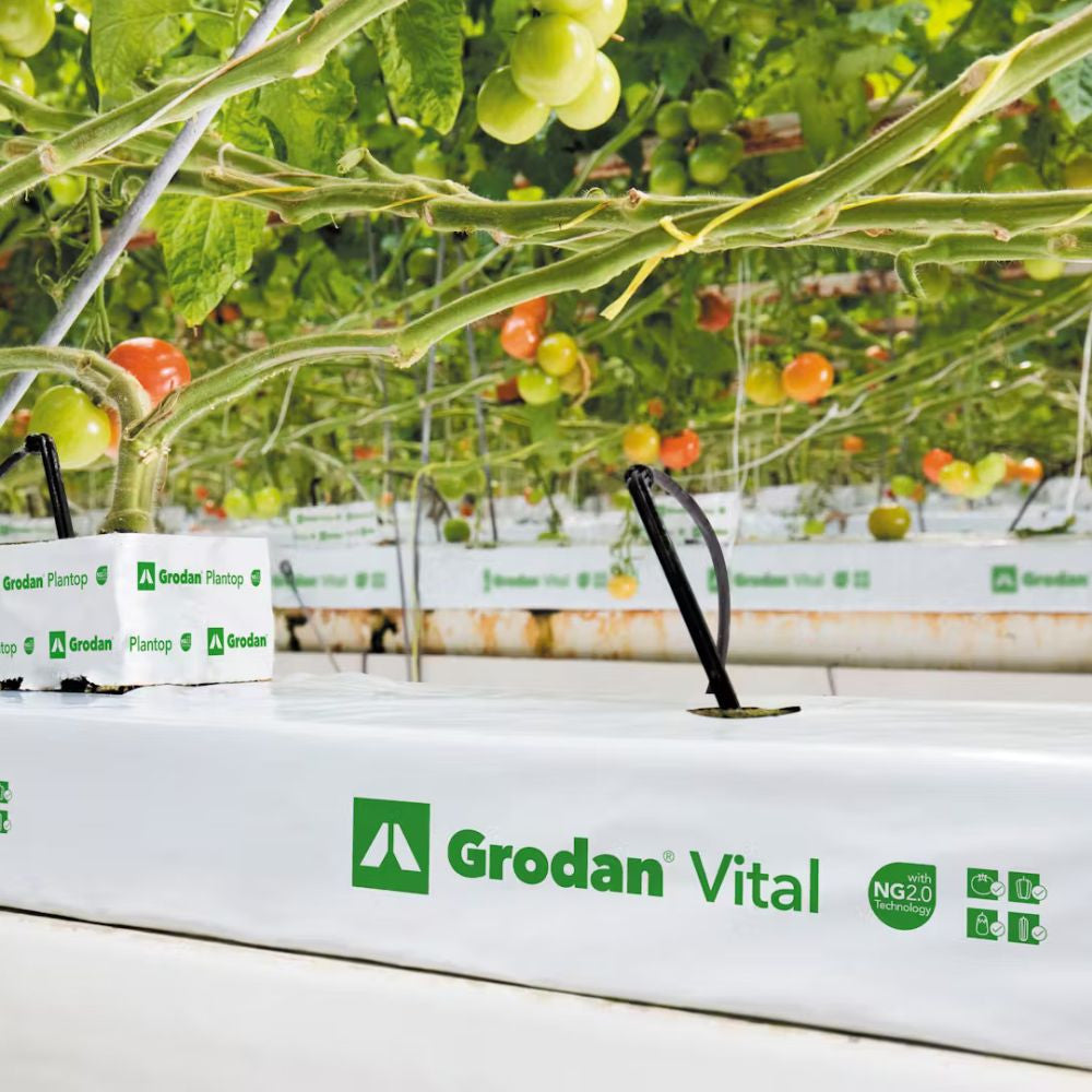 Grodan VITAL NG2.0 - 1000x150x75 mm, mata widok z tyłu