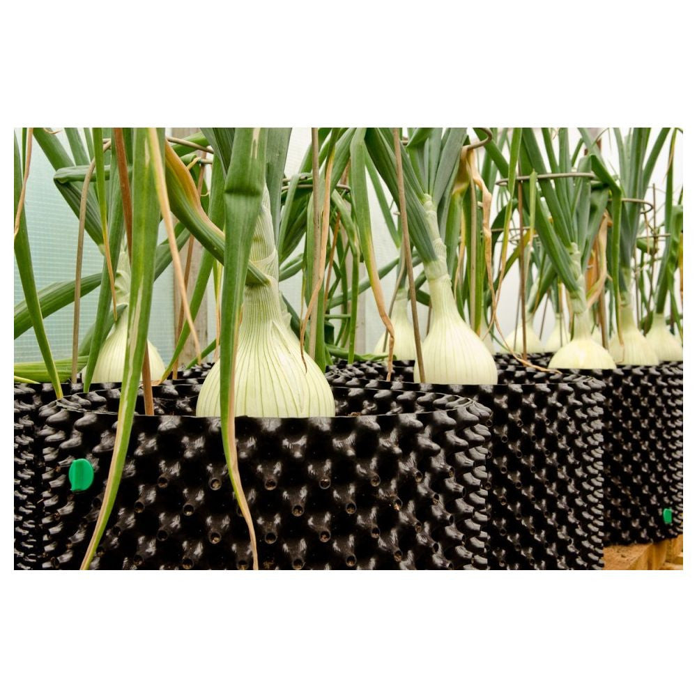 Air-Pot plastikkrukke 9 l, 1 stk. bagfra