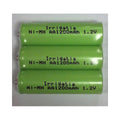 Irrigatia - batterie rechargeable de rechange pour C12-C24 vue de face