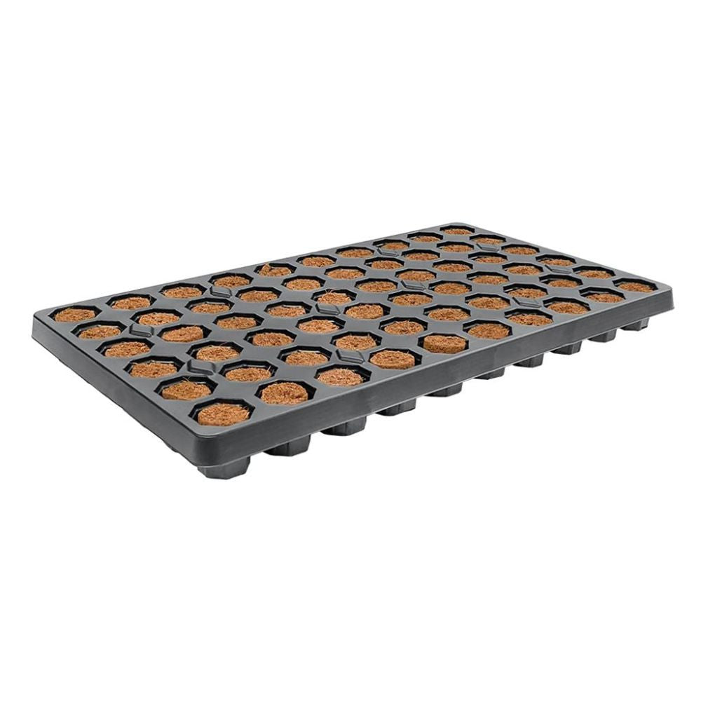 Root!t Dry Peat Free 60 Cell Propagator Kit drivhus uhindret, 58x40.5x22.5 cm sidevisning