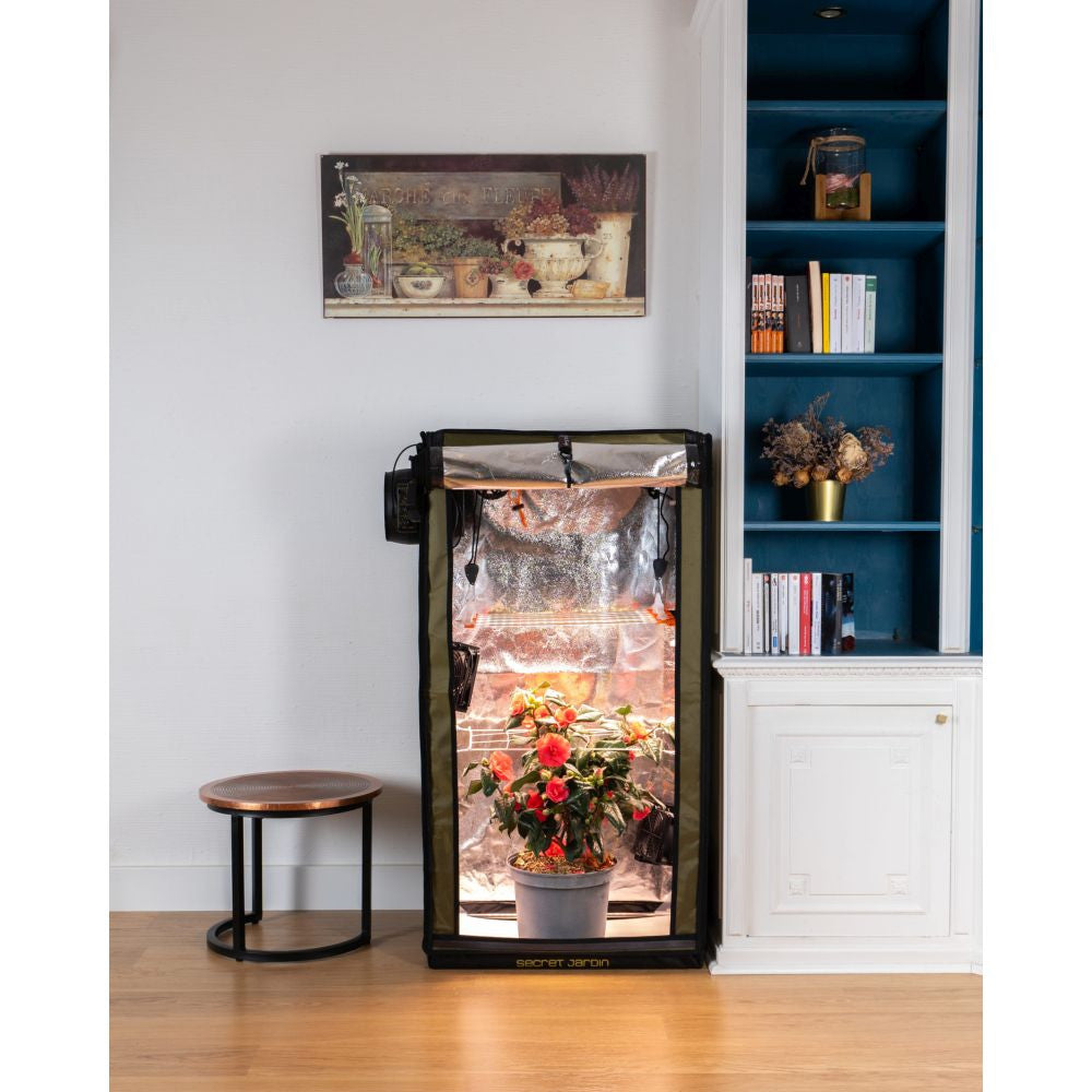 Secret Jardin FS100 For Twenty 60x40x116 cm vue de côté