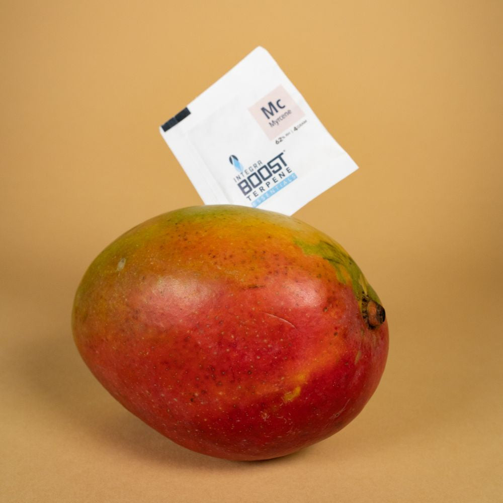 Integra Boost Terpene Essentials Myrcen 4 g, 62%, 1 ks pohled zepředu