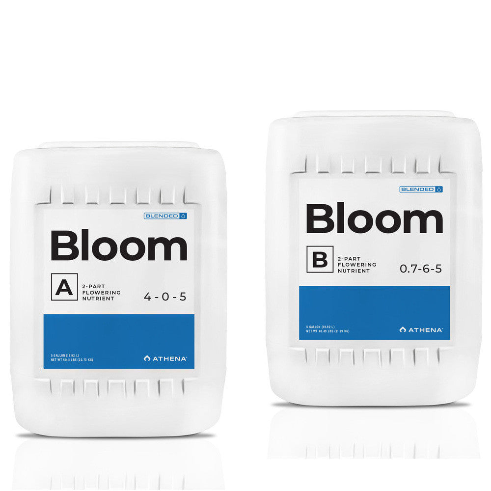 Athena Blended Line Bloom A+B 18.9 l (5 gal) pohled zepředu
