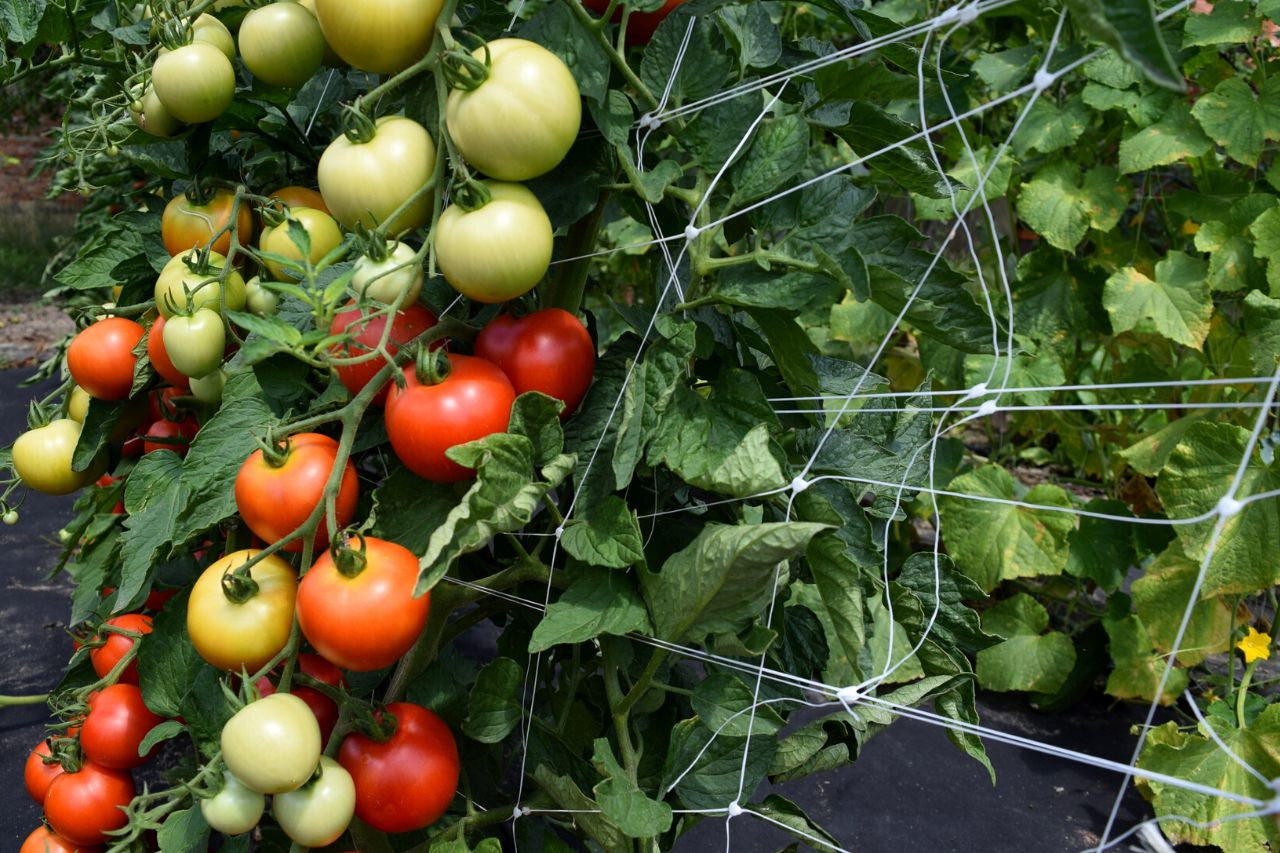 Opěrná, podpůrná síť 1,2x500 m, velikost oka 12x12cm boční pohled