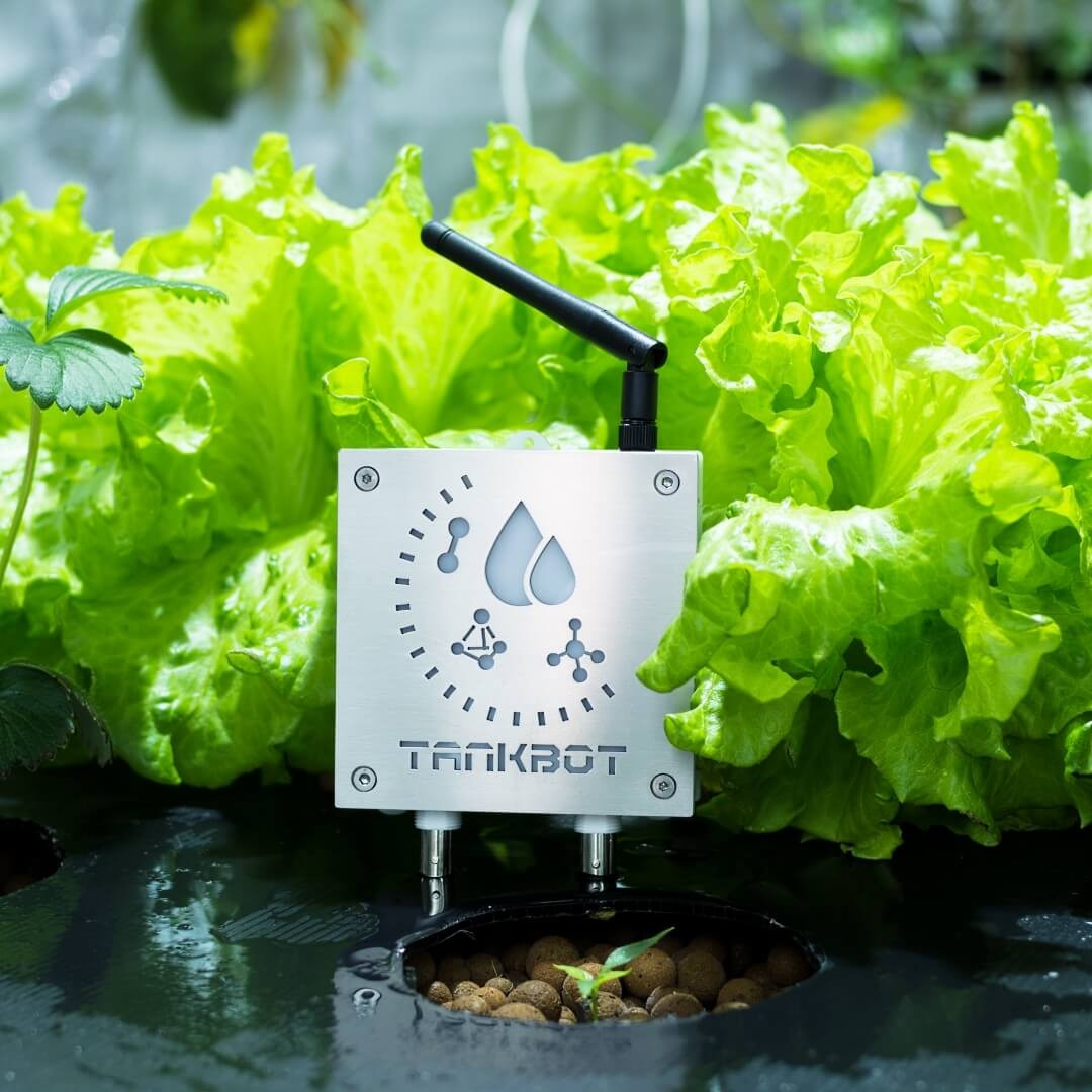 GroLab TankBot pohled zezadu