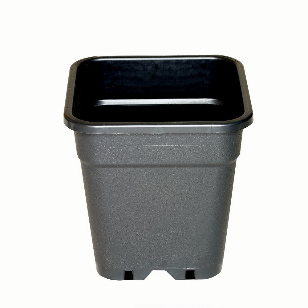 Wilma květináč plastový 31x31x32 cm - 18 l pohled zepředu