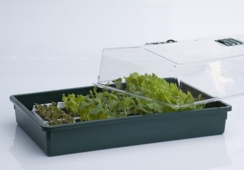 HGA Garden Propagator 64, skleník, tvrdý plast, nevyhřívaný, 60x40x25 cm pohled zezadu