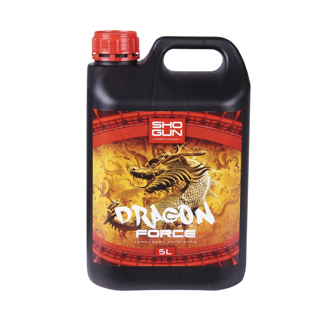 Shogun Dragon Force 5 l Vorderansicht