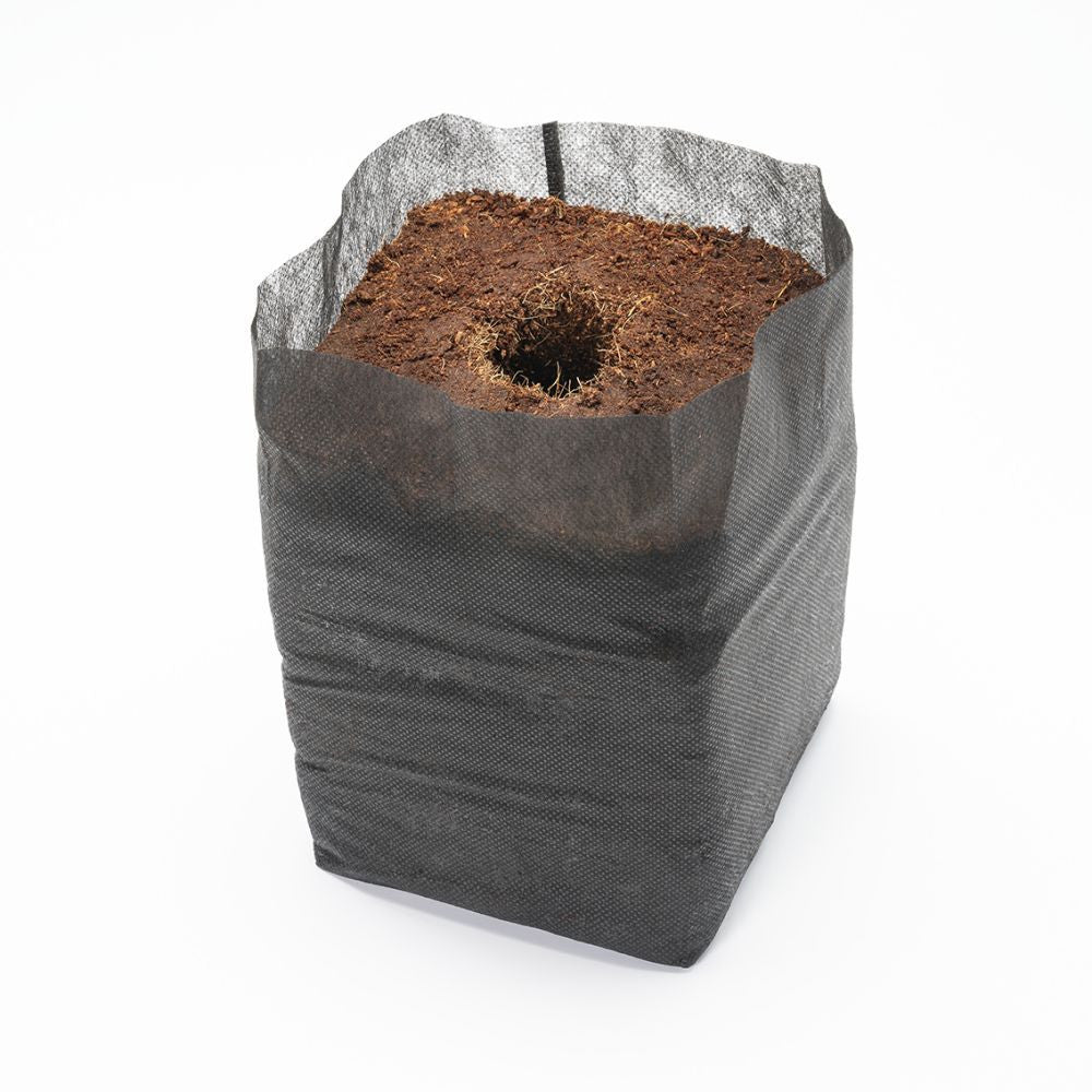 Growup! Coco fabric planter with dehydrated coconut, 1 pc detail view