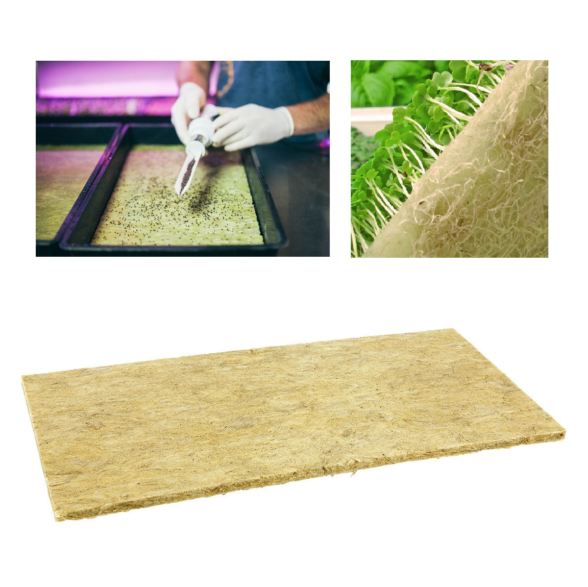 Grodan Cress Plate Microgreens, 49.5x24x1 cm, 1 ks pohled zepředu