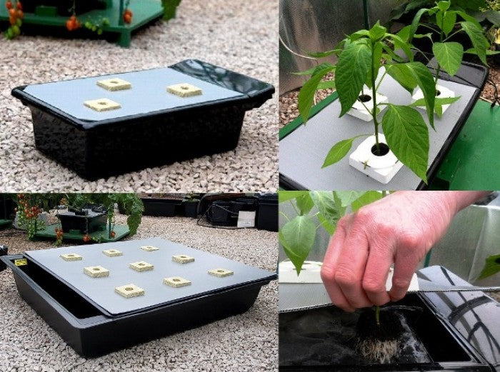 NFT Gro Tank GT 205 - 69.5x29.5x19.5 cm pohled zezadu