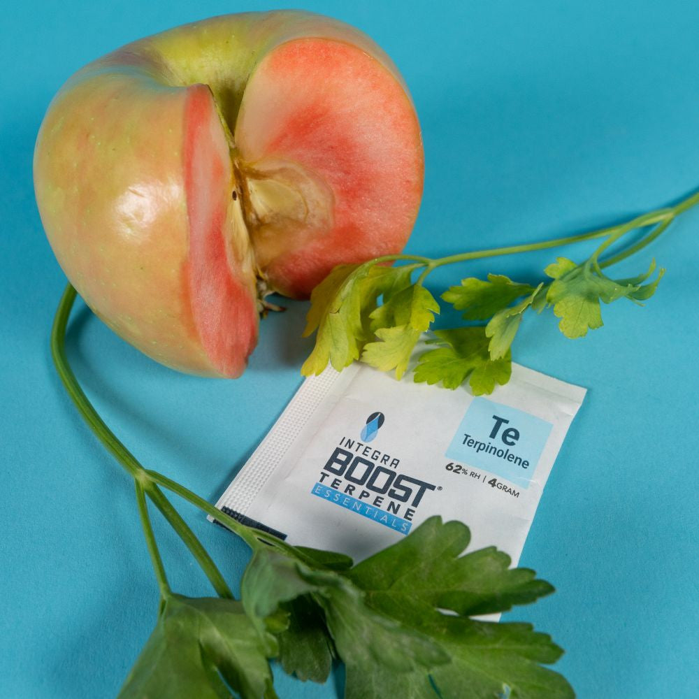 Integra Boost Terpene Essentials Terpinolen 4 g, 62%, 1 ks pohled zepředu