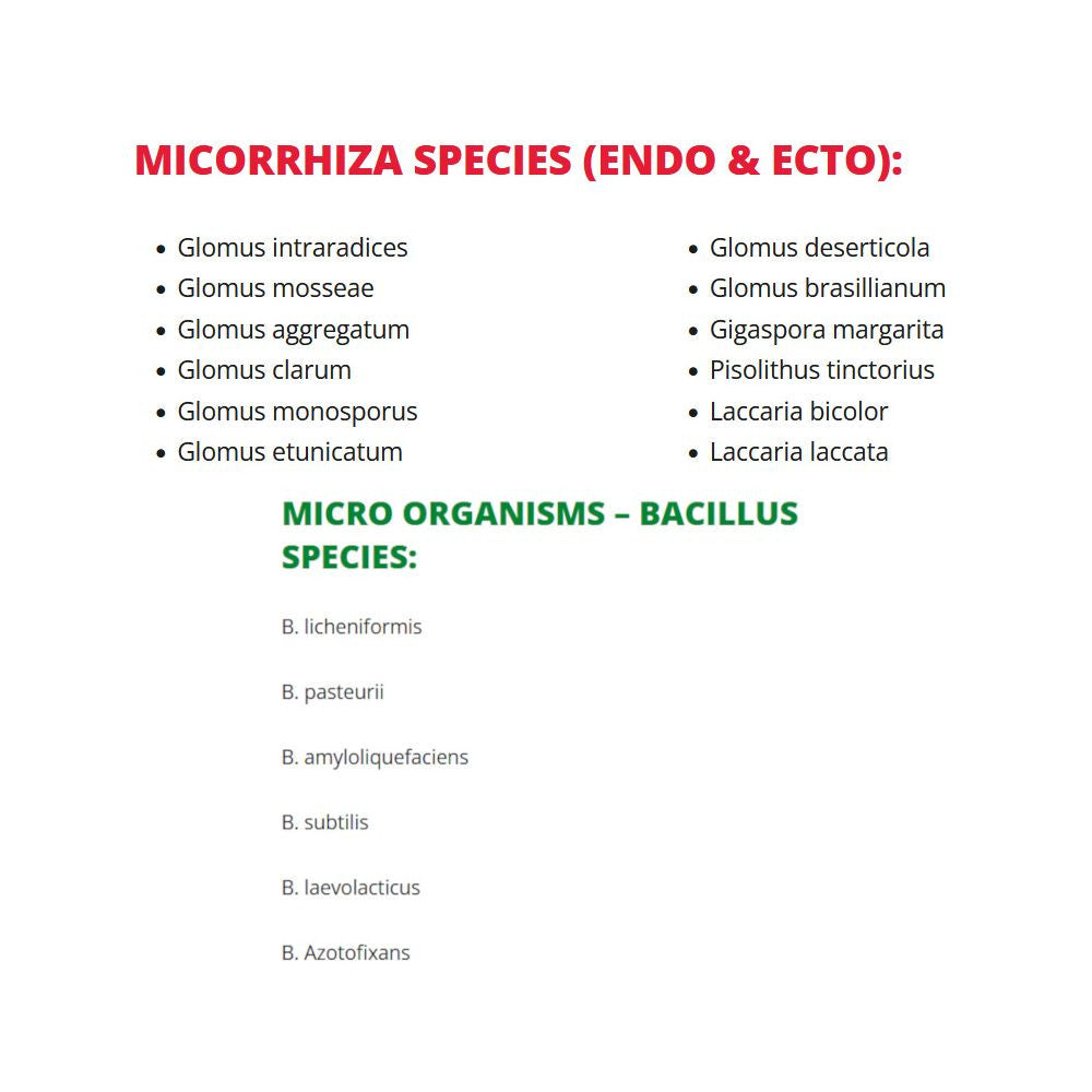 Bionova Living Soil, 220 g druhý boční pohled