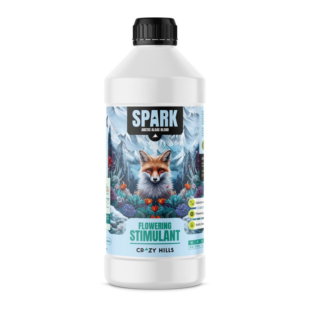 Crazy Hills Spark 1 l vue avant