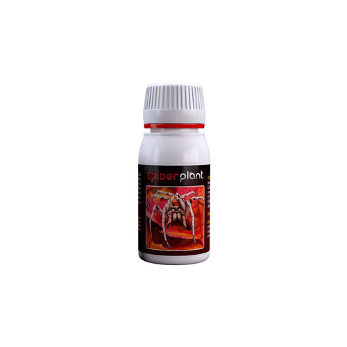 Agrobacterias Spider Plant, natürliches Insektizid 60 ml Vorderansicht