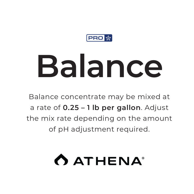Athena PRO Line Balance 4.5 kg (10 lbs) BOX deuxième vue latérale