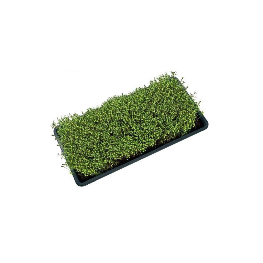 Garland podmiska plast Microgreens Tray 56x28x3 cm boční pohled