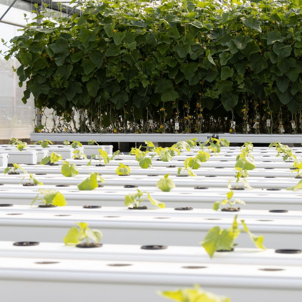 Terra Aquatica Growstream 80 V2 druhý boční pohled