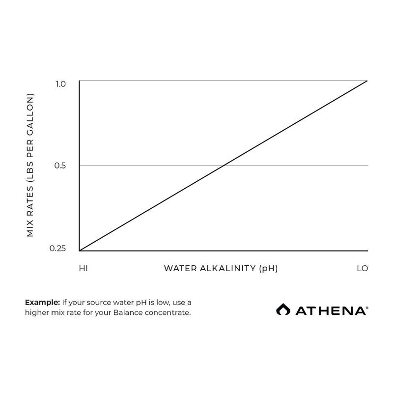 Athena PRO Line Balance 4.5 kg (10 lbs) BOX vue arrière