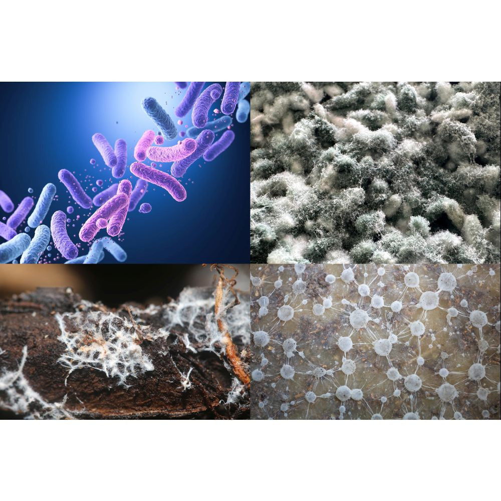 Bionova Living Soil, 220 g pohled zezadu